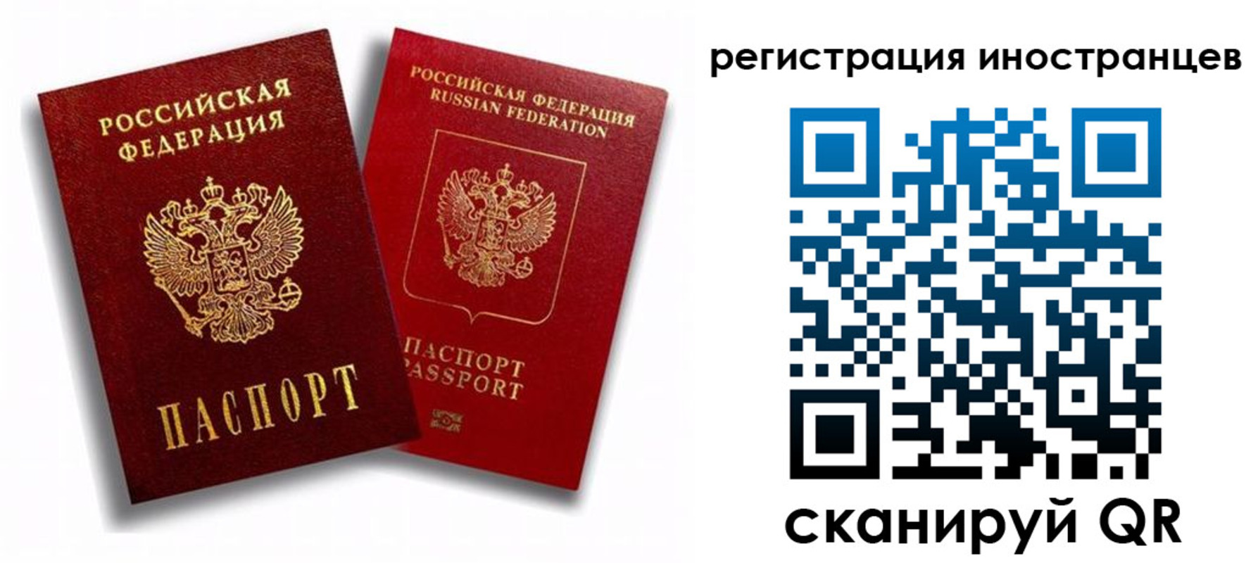 регистрация для школы в Коврове